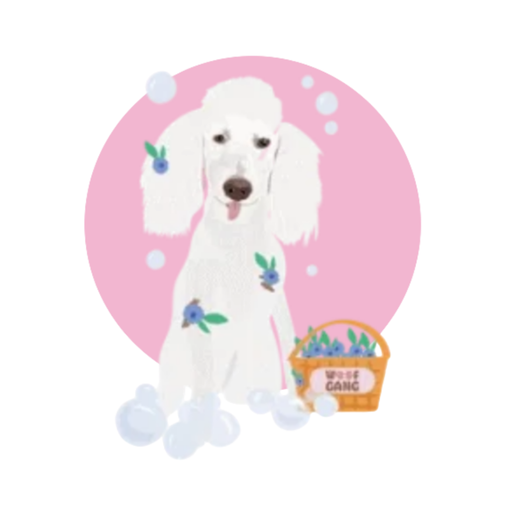 Woof Gang Dog Grooming