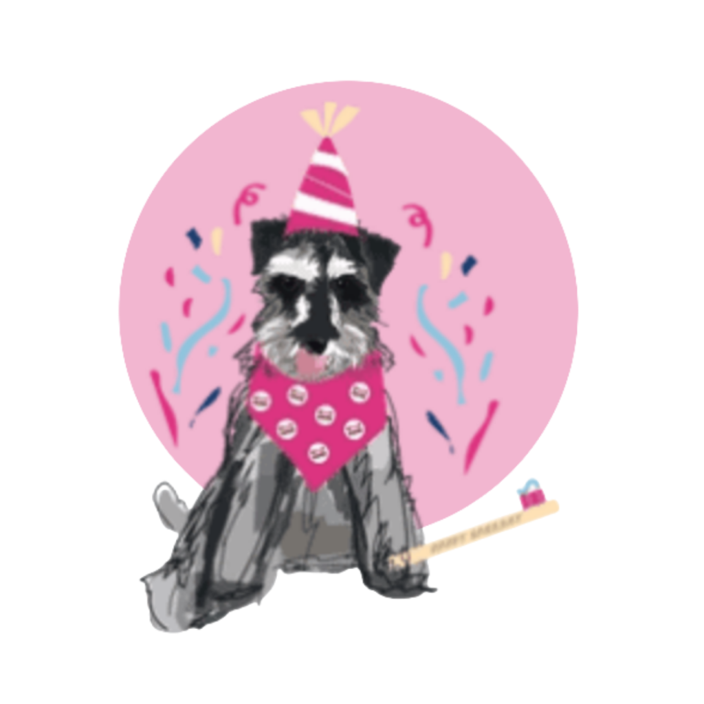 Woof Gang Wearing Party Hat