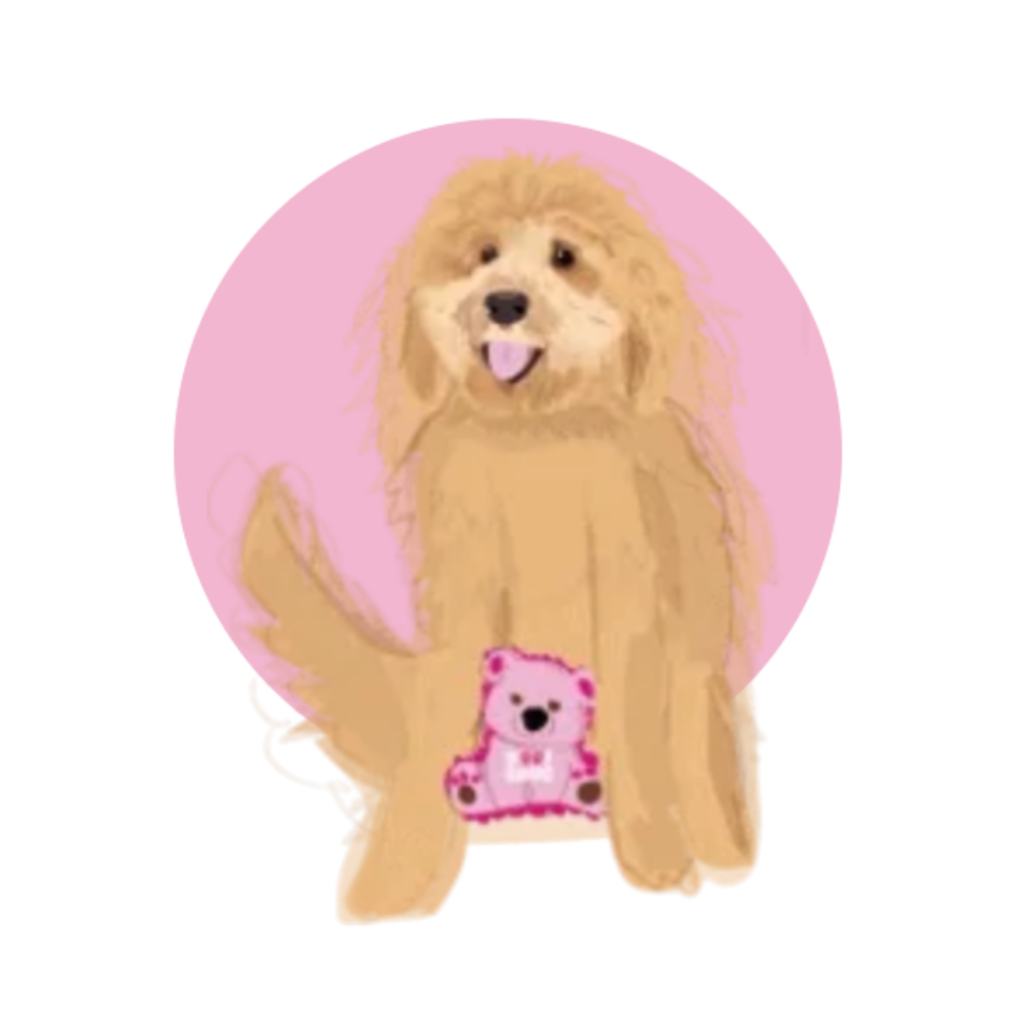 Woof Gang Golden Dog