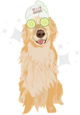 Woof Gang Smiling Dog