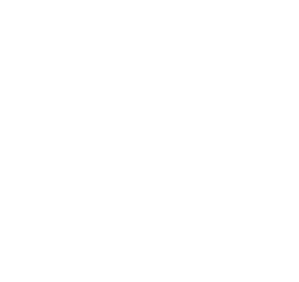 Woof Gang Classic Dog Bath